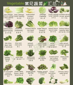 特种蔬菜的品种有哪些