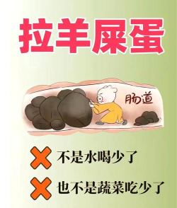 羊积食怎么治疗