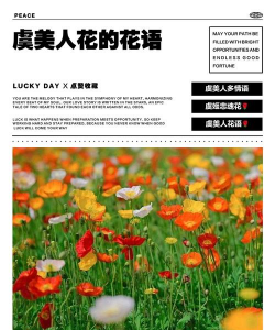 小众送妈妈的花有哪些花