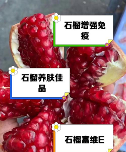 软籽石榴的籽可以吃不