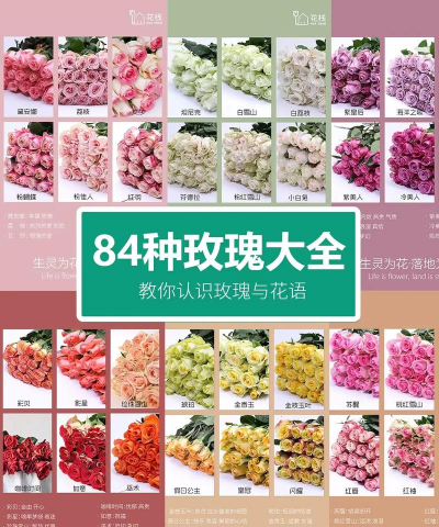 红玫瑰花语是什么 红玫瑰花语是什么