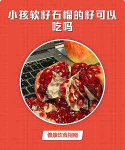 软籽石榴的籽能吃吗