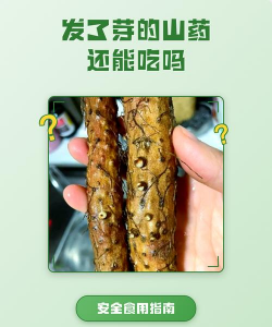 发芽的山药可以吃吗