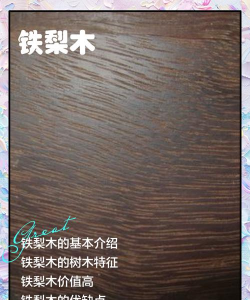 铁梨木是什么木
