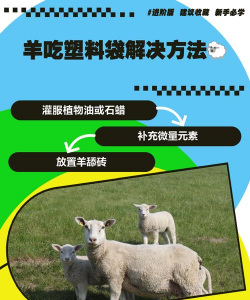 羊吃塑料袋怎么办