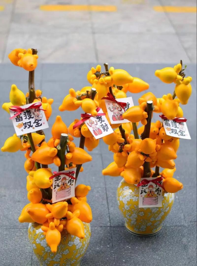 小众送妈妈的花有哪些花