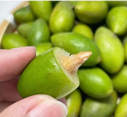 小众送妈妈的花有哪些花