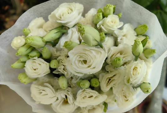 小众送妈妈的花有哪些花