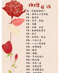 小众送妈妈的花有哪些花