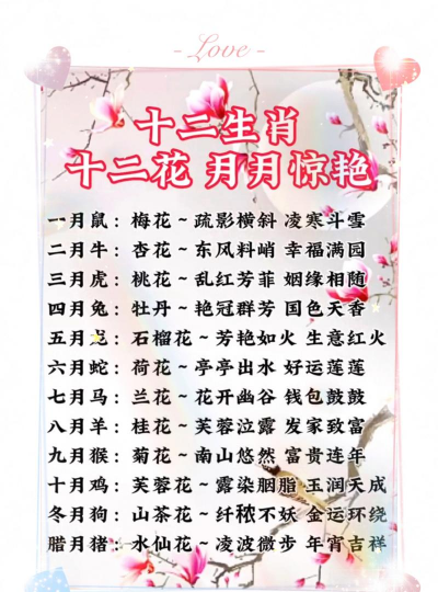 小众送妈妈的花有哪些花