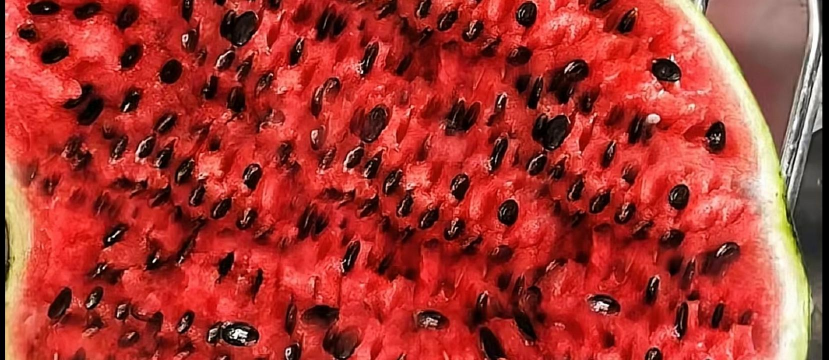 小众送妈妈的花有哪些花