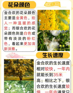 银合欢和金合欢的区别