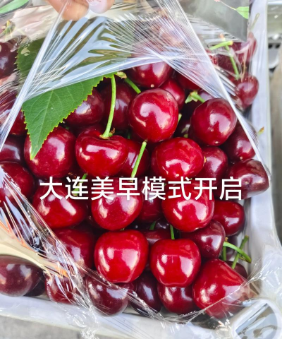 美早大樱桃是不是车厘子