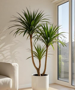 小众送妈妈的花有哪些花