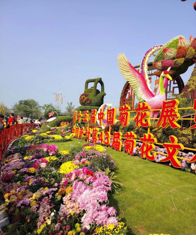 小众送妈妈的花有哪些花