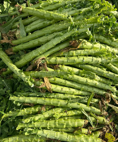 小众送妈妈的花有哪些花