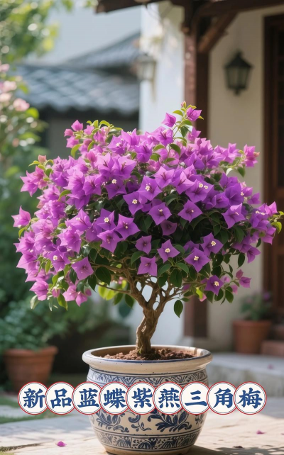 小众送妈妈的花有哪些花