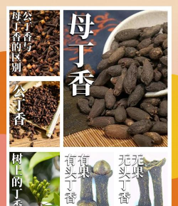 公丁香和母丁香怎么区别