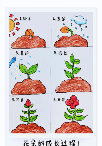 小众送妈妈的花有哪些花