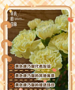小众送妈妈的花有哪些花