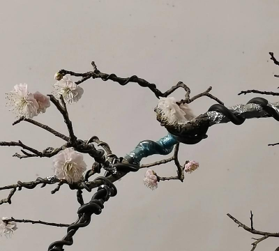 小众送妈妈的花有哪些花