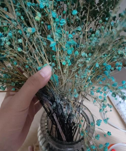 小众送妈妈的花有哪些花