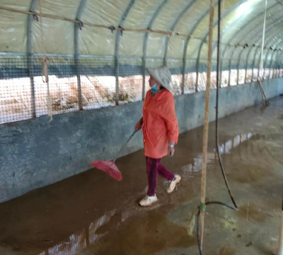 小众送妈妈的花有哪些花