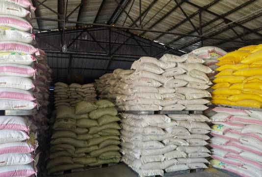 小众送妈妈的花有哪些花