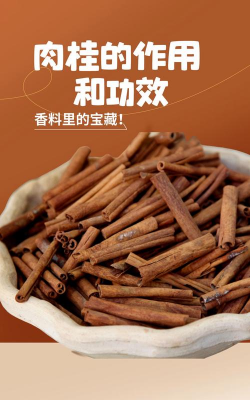 肉桂是什么东西