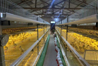 小众送妈妈的花有哪些花