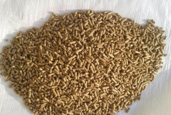 小众送妈妈的花有哪些花