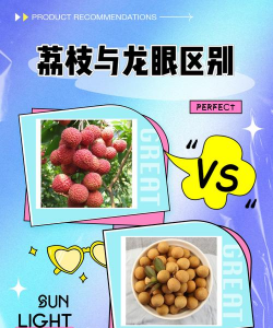 龙眼和荔枝的区别