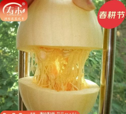 小众送妈妈的花有哪些花