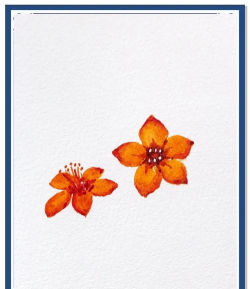 小众送妈妈的花有哪些花