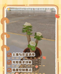 小众送妈妈的花有哪些花