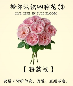 小众送妈妈的花有哪些花