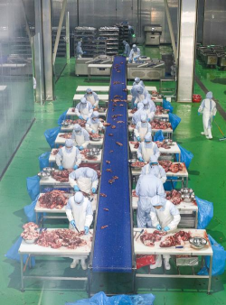 小众送妈妈的花有哪些花