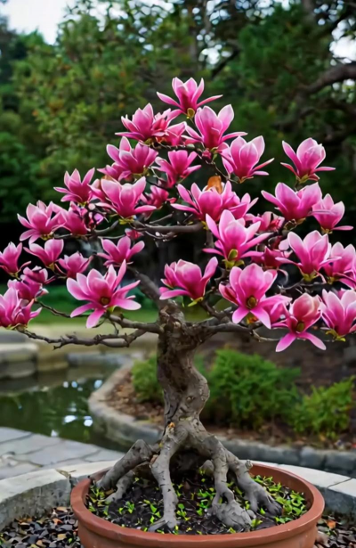 小众送妈妈的花有哪些花