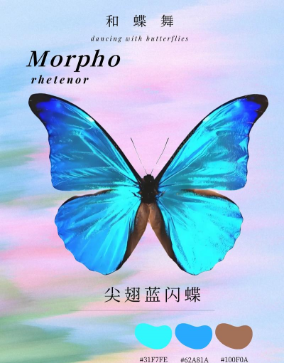 小众送妈妈的花有哪些花