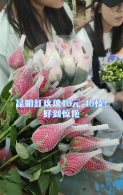 小众送妈妈的花有哪些花