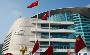 香港的旗帜是什么花