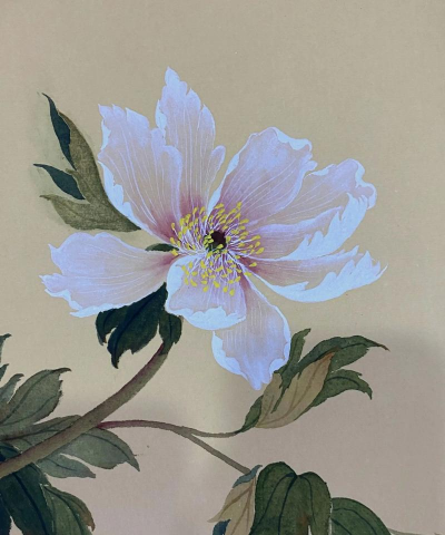 小众送妈妈的花有哪些花