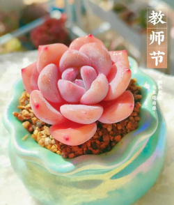 小众送妈妈的花有哪些花