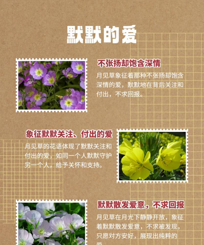小众送妈妈的花有哪些花