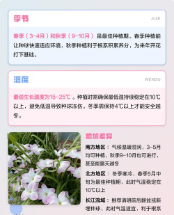 小众送妈妈的花有哪些花