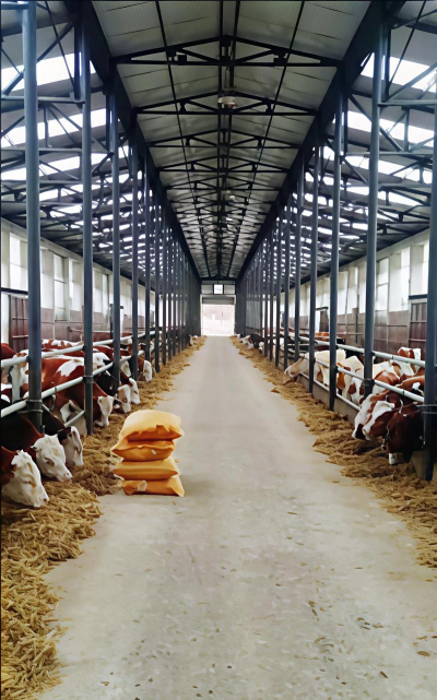 小众送妈妈的花有哪些花