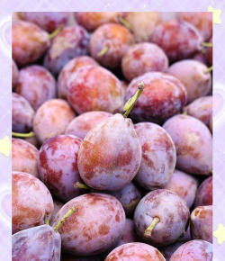 小众送妈妈的花有哪些花