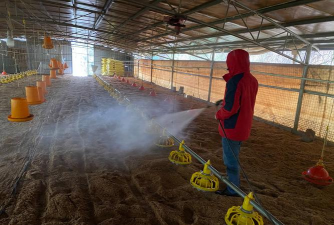 小众送妈妈的花有哪些花