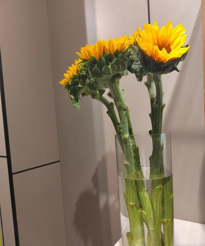 小众送妈妈的花有哪些花