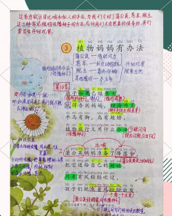 传播种子的植物有哪些二年级